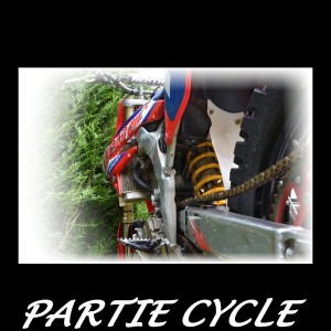 PARTIE CYCLE 450 YZ-F 2008 - PIECE D'OCCASION