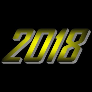 - 450 RMZ 2018 - PIECE NEUVE